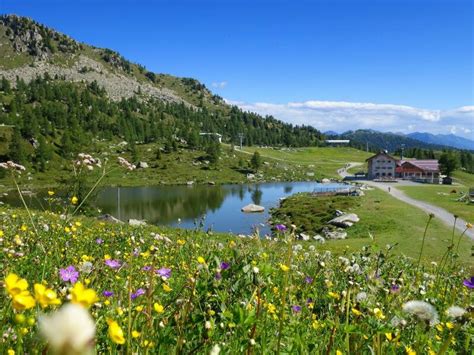 prada lago madonna di campiglio|Hike from Pradalago to Lake Gelato .